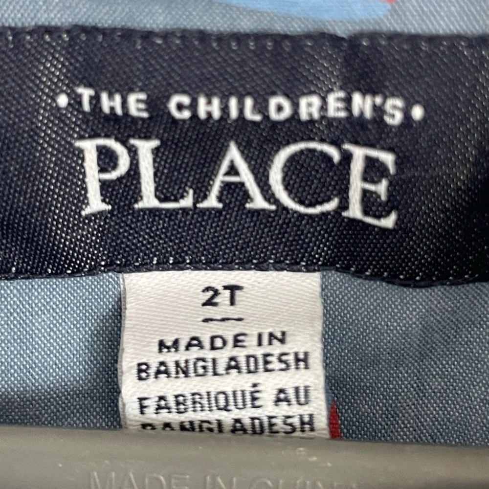 The Children’s Place Dino Button Down Size 2T